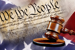Should Firearm Companies Be Held Liable